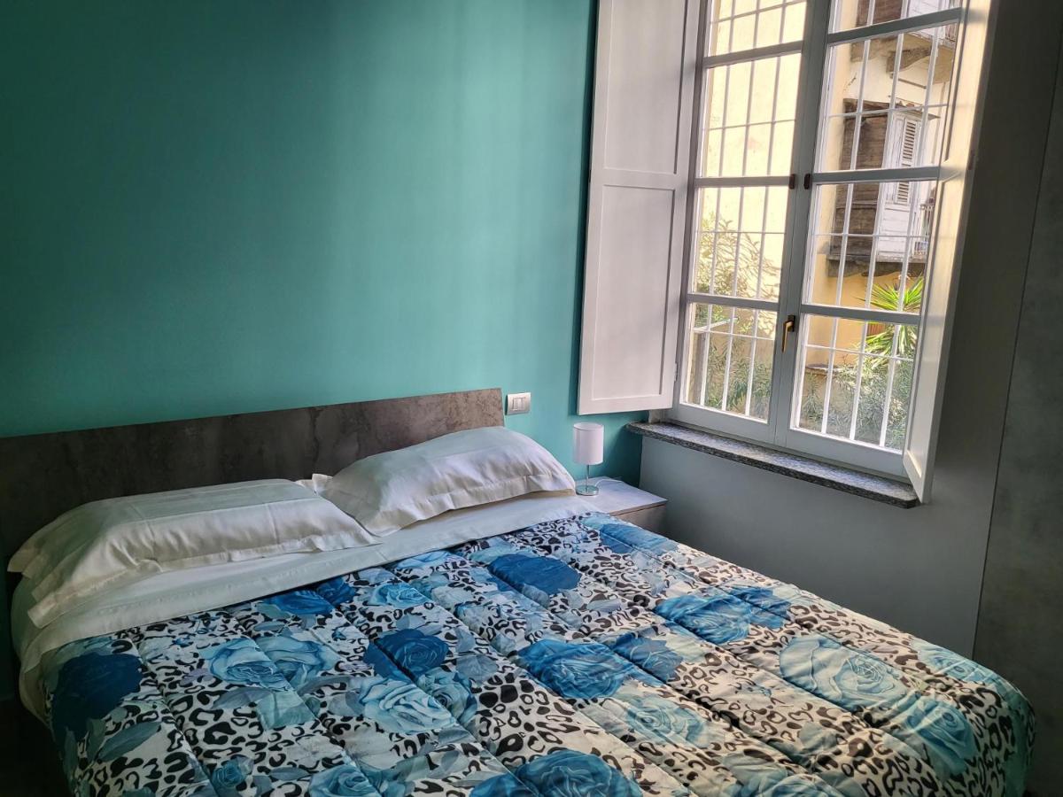 Ma Maison Iris Turyn